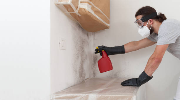 Professional Hvac And Air Duct Mold Remediation technician working in Little Falls, NJ